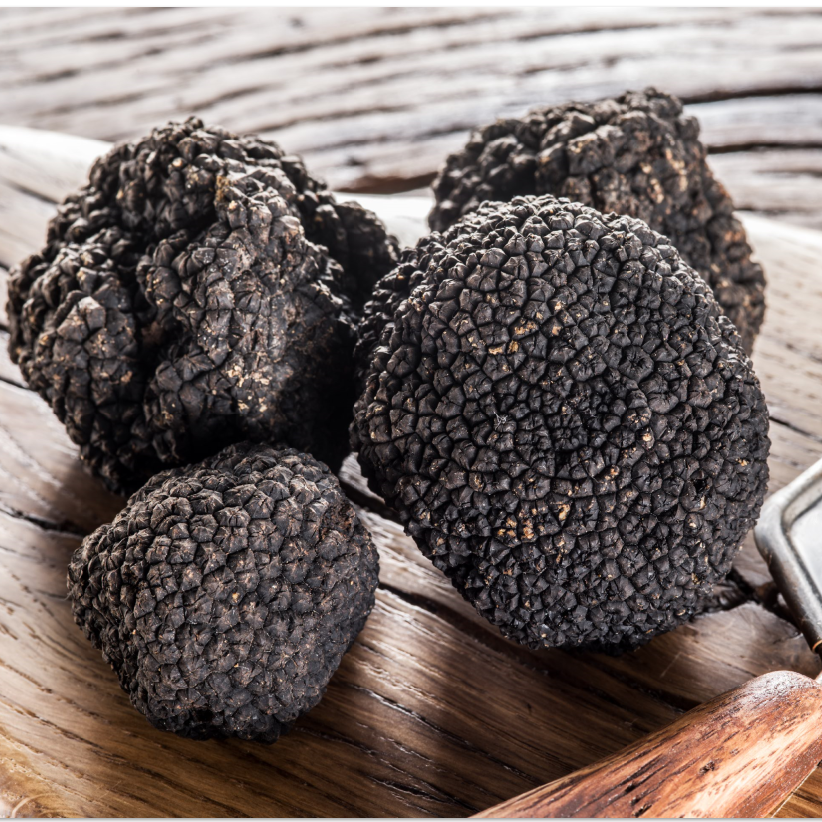 FRESH BLACK SUMMER ITALIAN TRUFFLES - 1 OZ