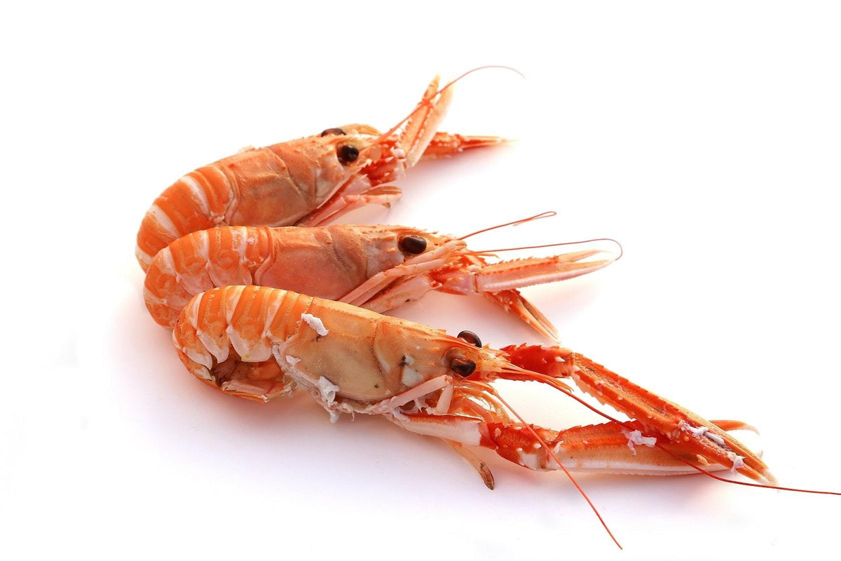 SCAMPI PRAWNS