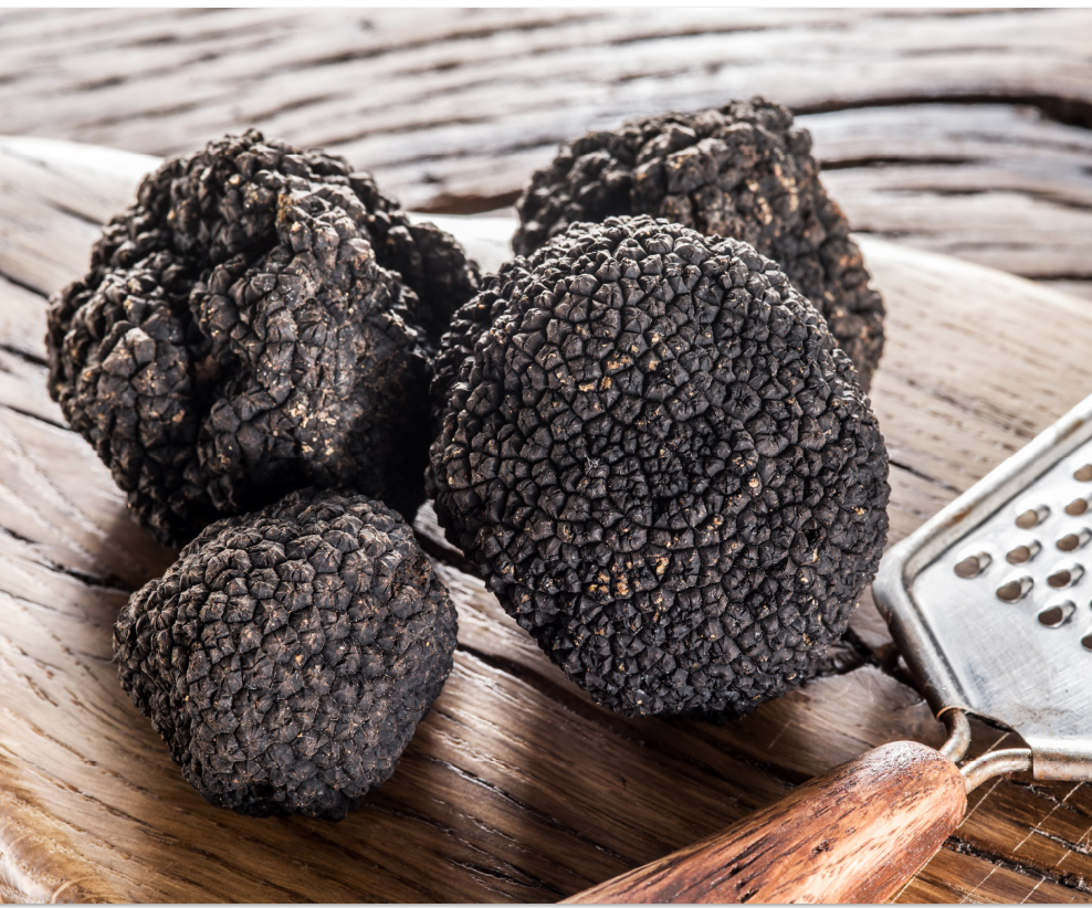 FRESH BLACK SUMMER ITALIAN TRUFFLES