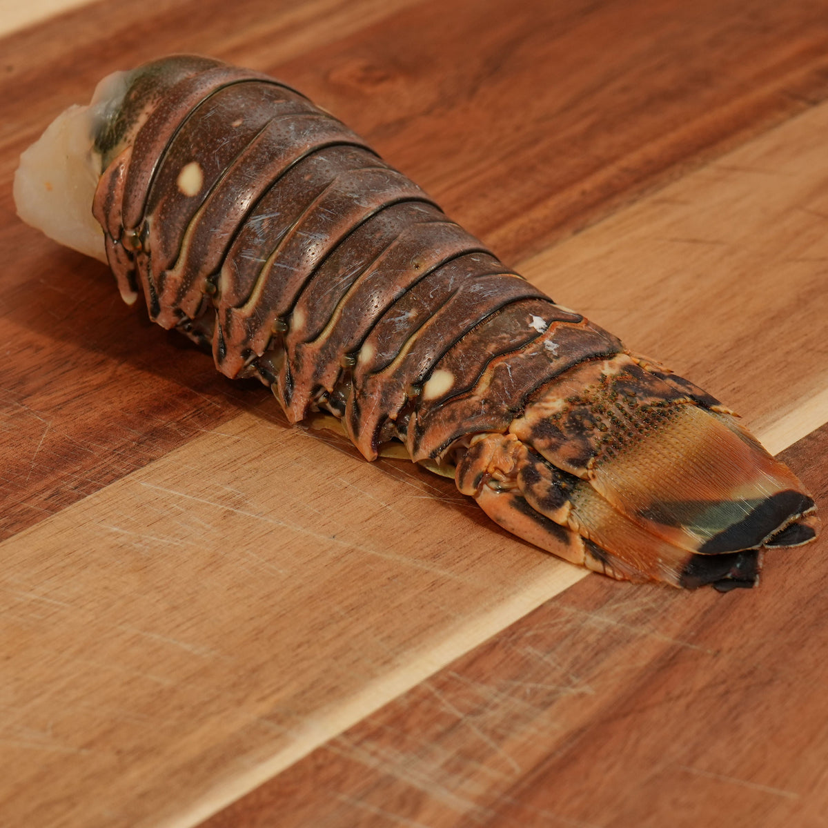SPINY LOBSTER TAIL, SHELL-ON