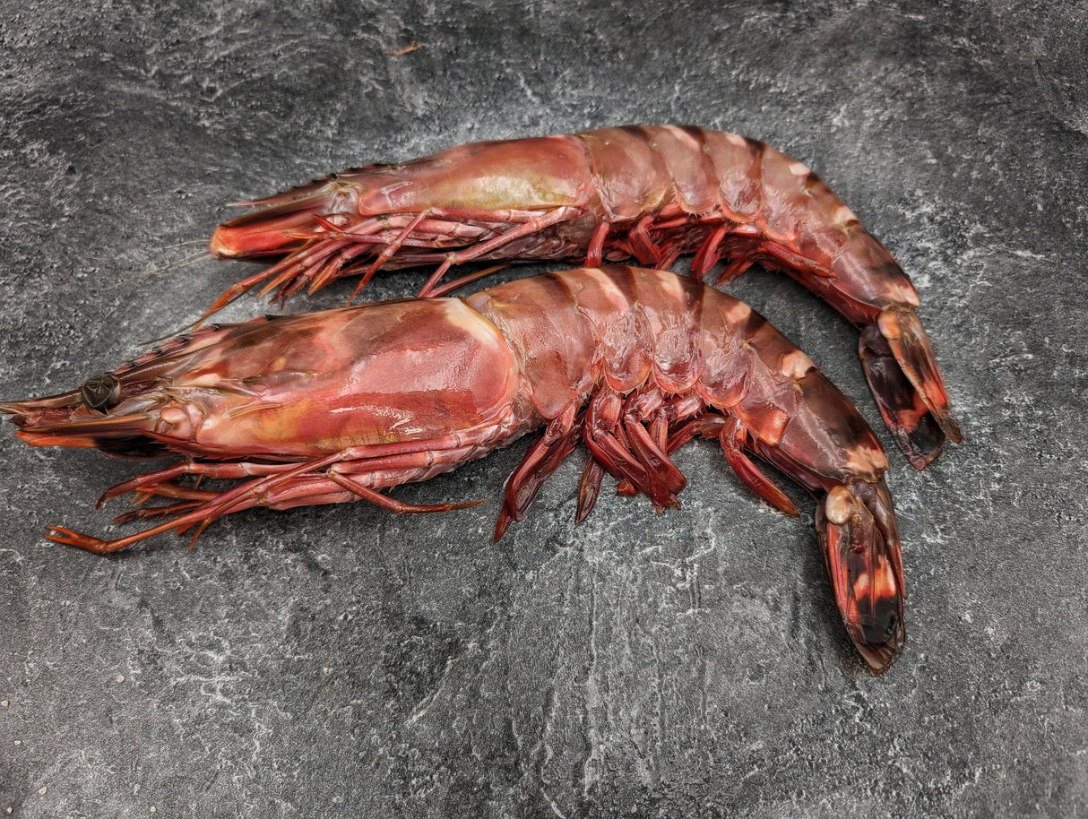 COLOSAL WILD TIGER PRAWNS - 1 LB