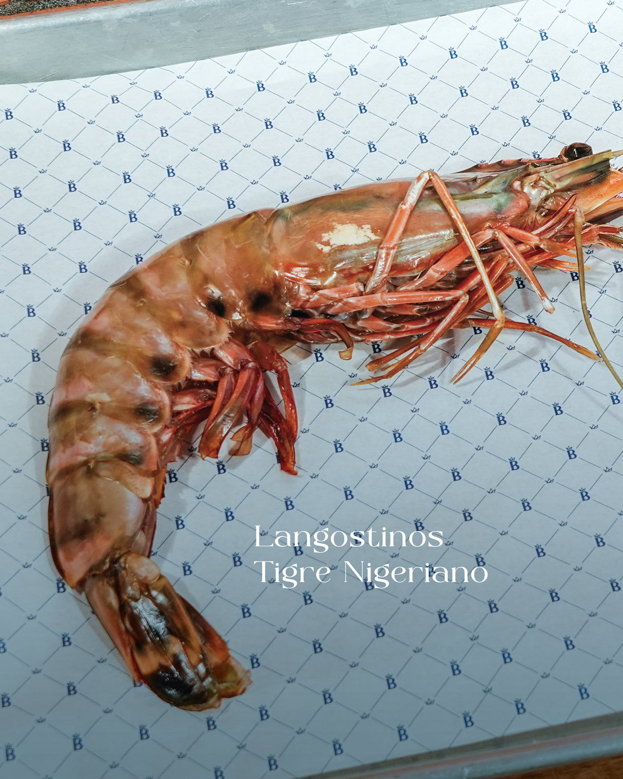 SEAFOOD BBQ ⚽🦐